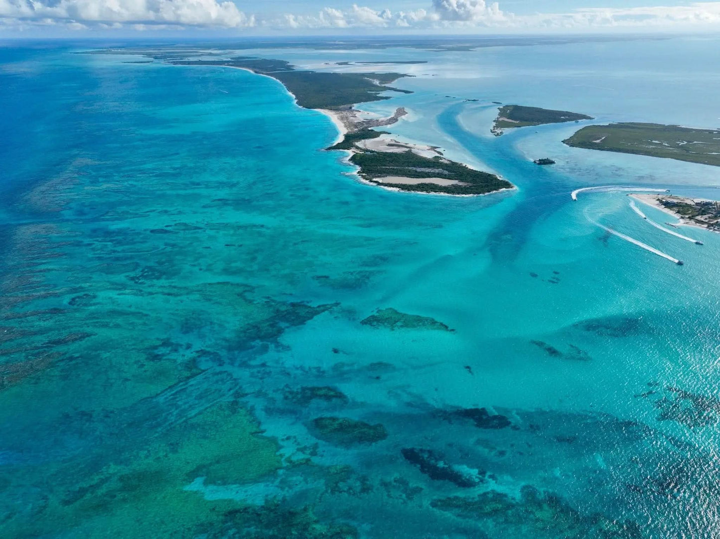 Turquoise Web - Drone Vision Photography