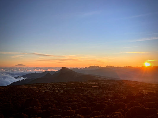 Distant Horizon - Drone Vision Photography