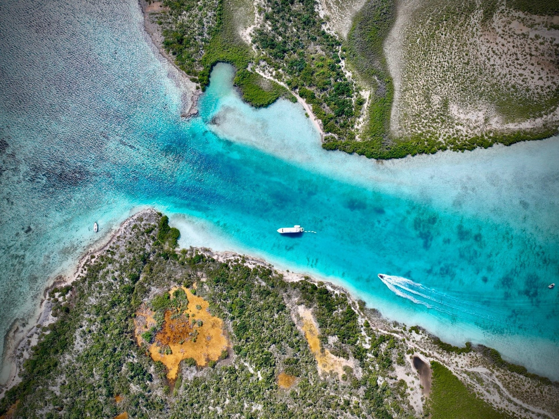 Nature's Oasis - Drone Vision Photography